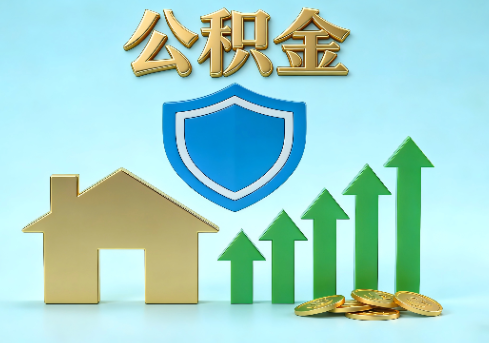 玉林当前住房公积金提取条件分类指南与政策趋势